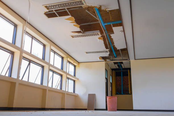 Best Water damage cleanup near me  in Merrill, WI