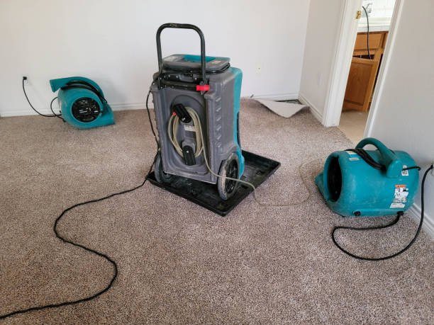 Best Water damage contractors near me  in Merrill, WI