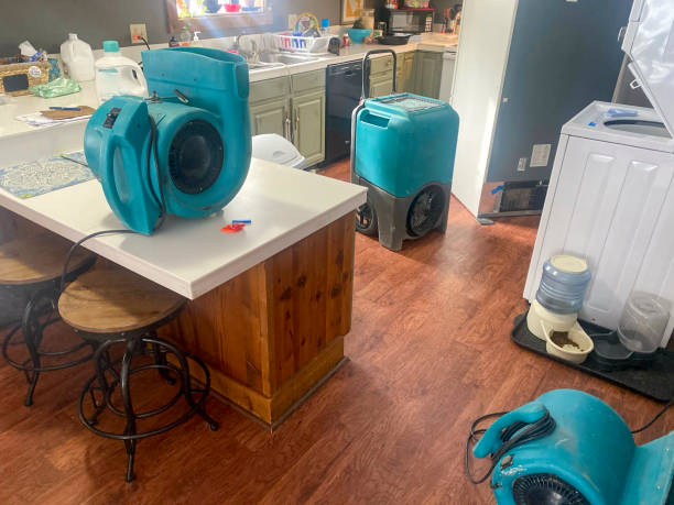 Best Basement water damage restoration  in Merrill, WI