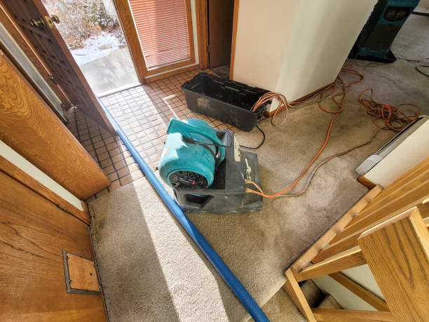 Best Water damage restoration near me  in Merrill, WI