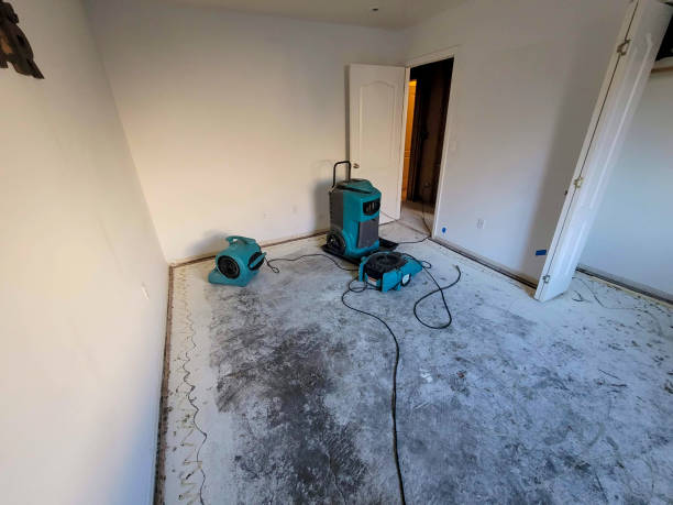 Best 24/7 water damage repair  in Merrill, WI