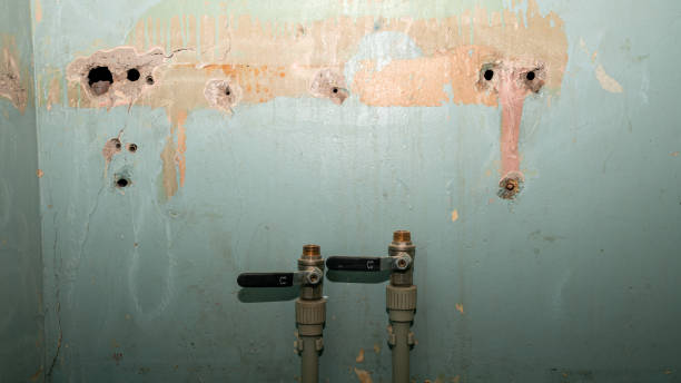 Best Carpet water damage restoration  in Merrill, WI