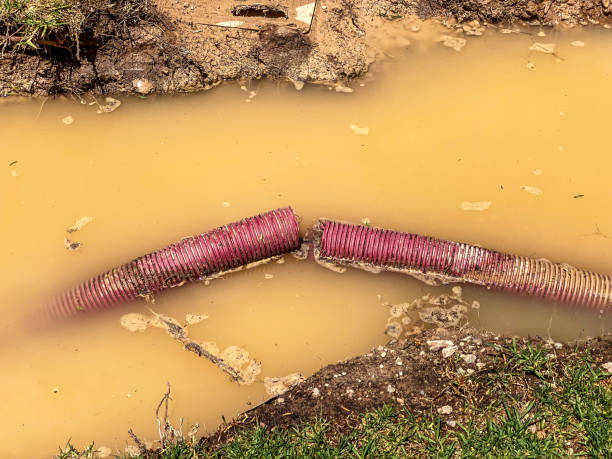 Best Flood restoration services  in Merrill, WI